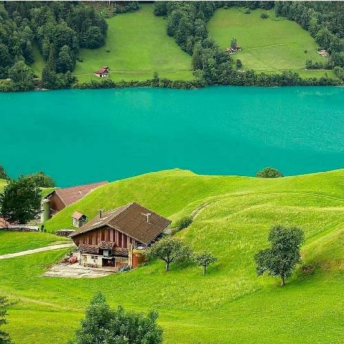 من که دیگه پیرم از این حرفا سیرم یجورایی گیرم شما برین میرم